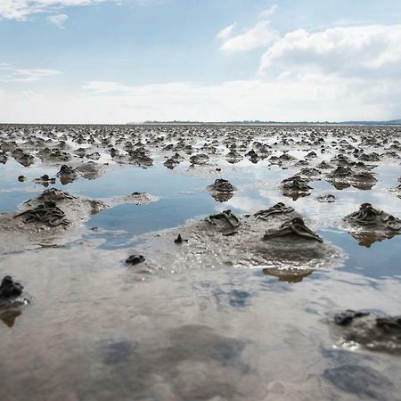 Reiterhof An Der Nordsee Witzwort Eksteriør bilde